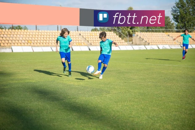 奖项证书
